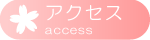 �A�N�Z�X